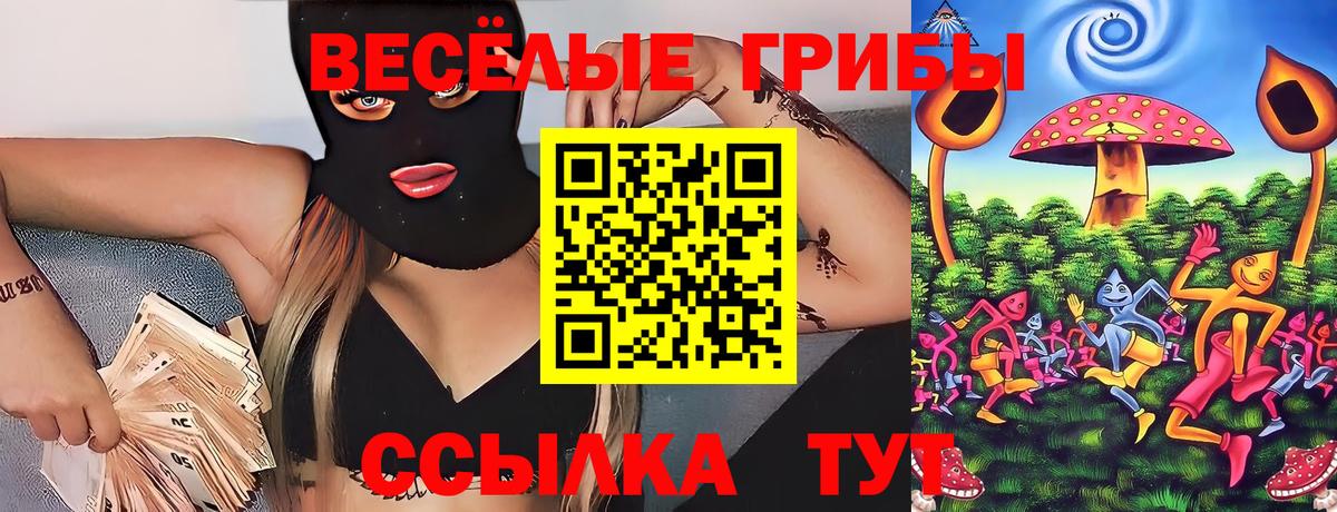 Ишим  Псилоцибиновые грибы Psilocybe  Галлюциногенные грибы ЛСД  Вход с VPN 